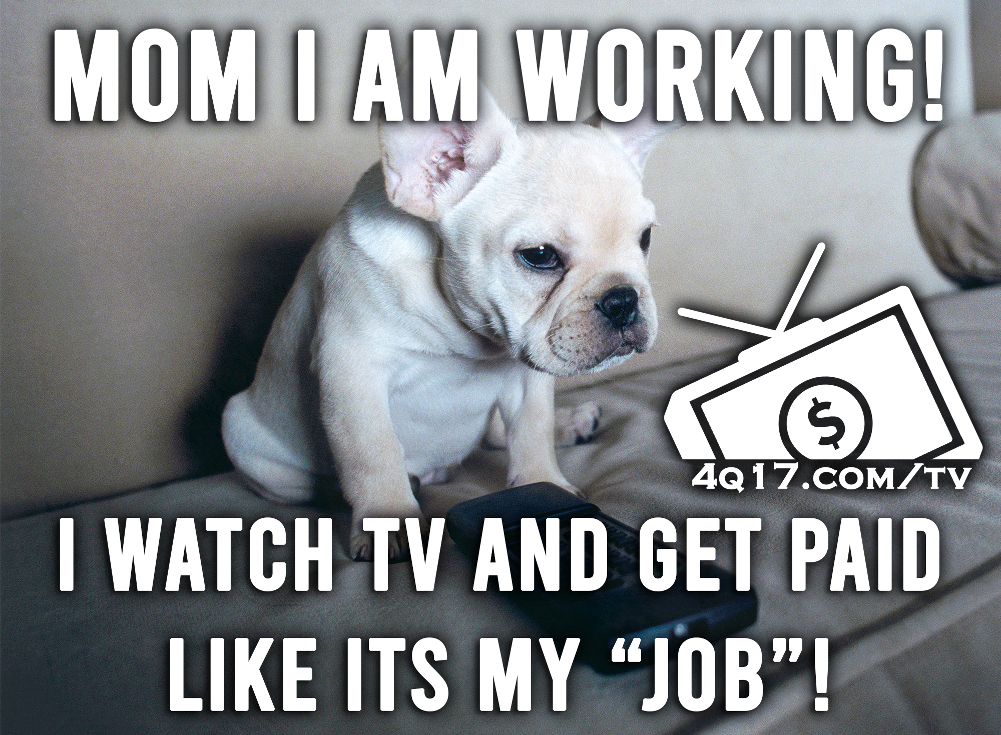 All Things Employment and Jobs Paid to watch TV