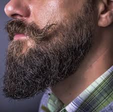 Beard Balm man with beard